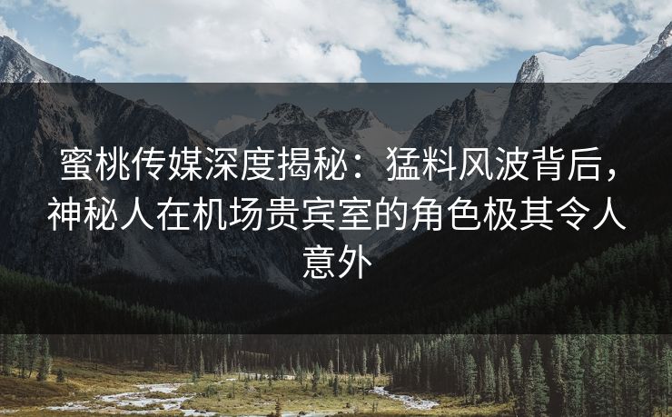 蜜桃传媒深度揭秘：猛料风波背后，神秘人在机场贵宾室的角色极其令人意外