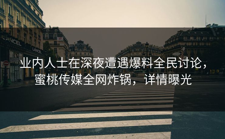 业内人士在深夜遭遇爆料全民讨论，蜜桃传媒全网炸锅，详情曝光