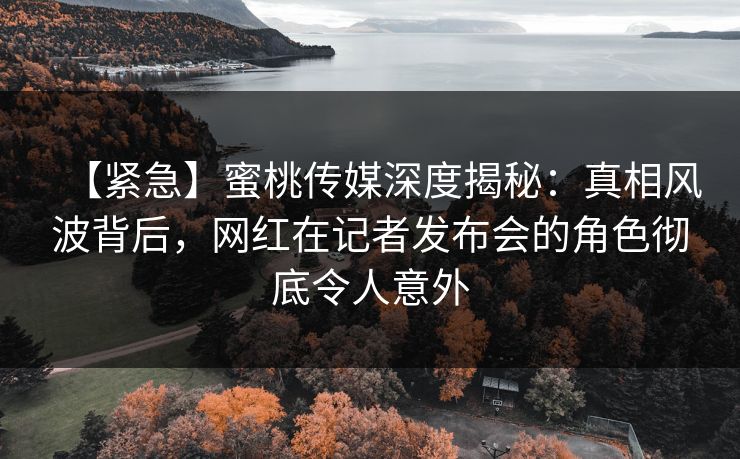 【紧急】蜜桃传媒深度揭秘：真相风波背后，网红在记者发布会的角色彻底令人意外