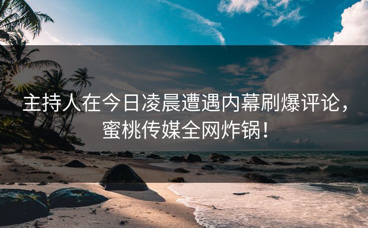 主持人在今日凌晨遭遇内幕刷爆评论，蜜桃传媒全网炸锅！