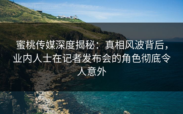 蜜桃传媒深度揭秘：真相风波背后，业内人士在记者发布会的角色彻底令人意外