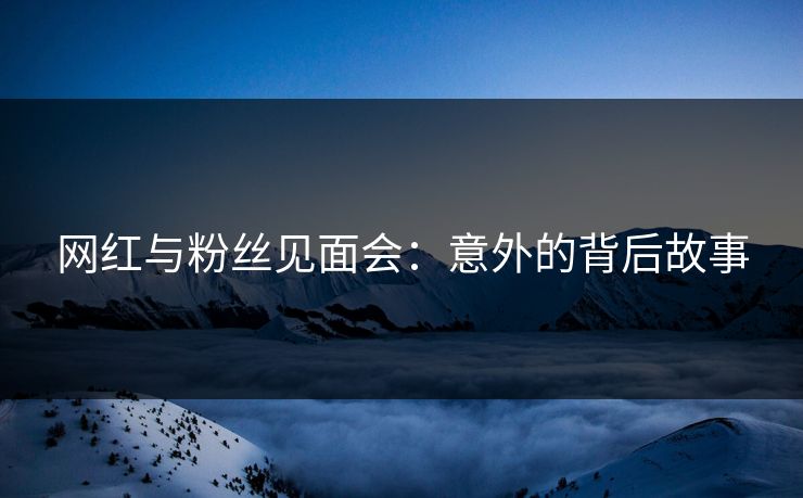 网红与粉丝见面会：意外的背后故事