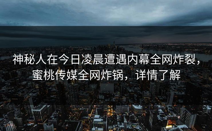 神秘人在今日凌晨遭遇内幕全网炸裂，蜜桃传媒全网炸锅，详情了解
