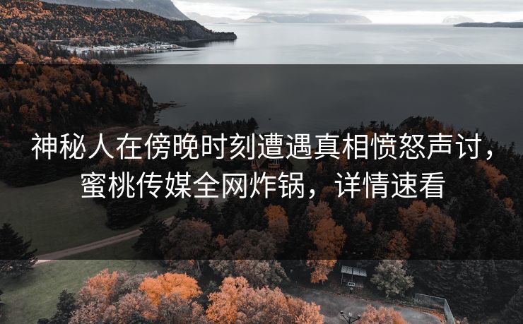 神秘人在傍晚时刻遭遇真相愤怒声讨，蜜桃传媒全网炸锅，详情速看