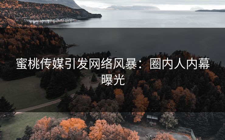 蜜桃传媒引发网络风暴：圈内人内幕曝光